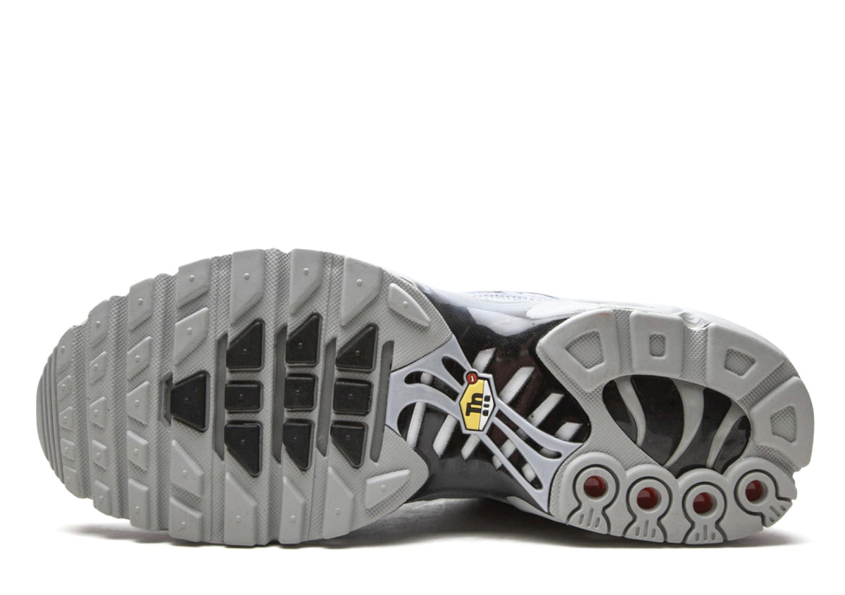 Air Vapormax Plus Wolf Grey | Sneakers Forest - Sole Sides
